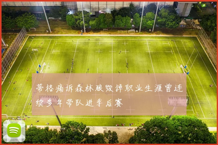 蒂格痛诉森林狼毁掉职业生涯曾连续多年带队进季后赛