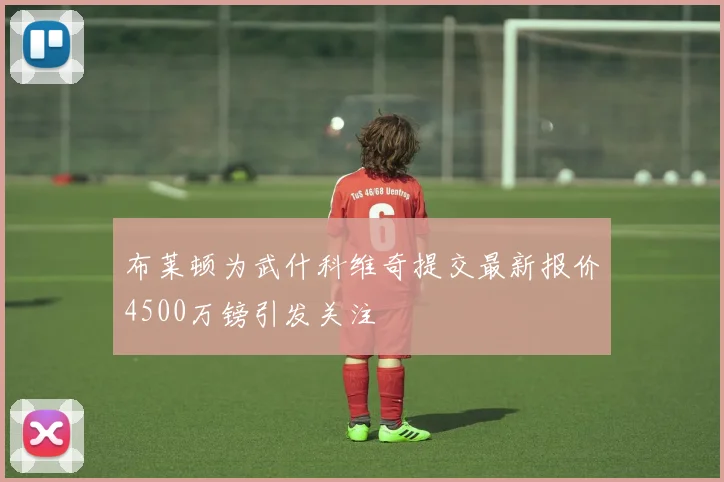 布莱顿为武什科维奇提交最新报价4500万镑引发关注